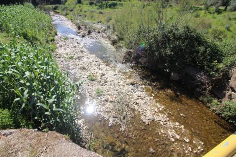 Ruína em pedra geminada, com terreno de 2,3 hectares