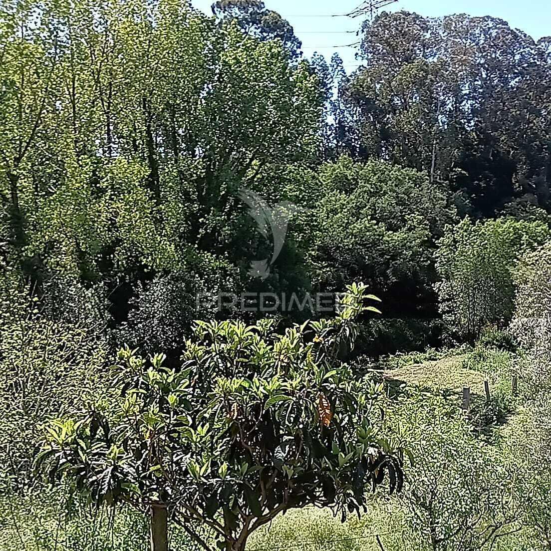 Moradia com terreno e projeto aprovado