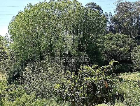 Moradia com terreno e projeto aprovado
