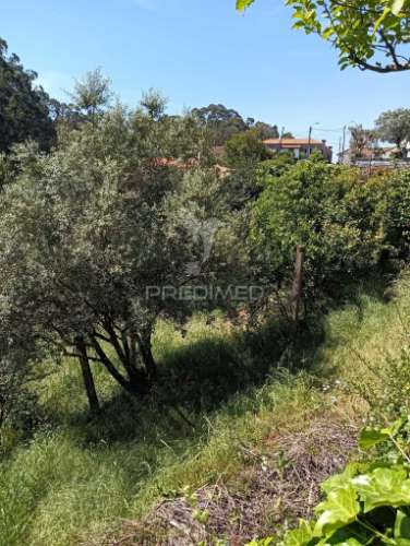 Moradia com terreno e projeto aprovado