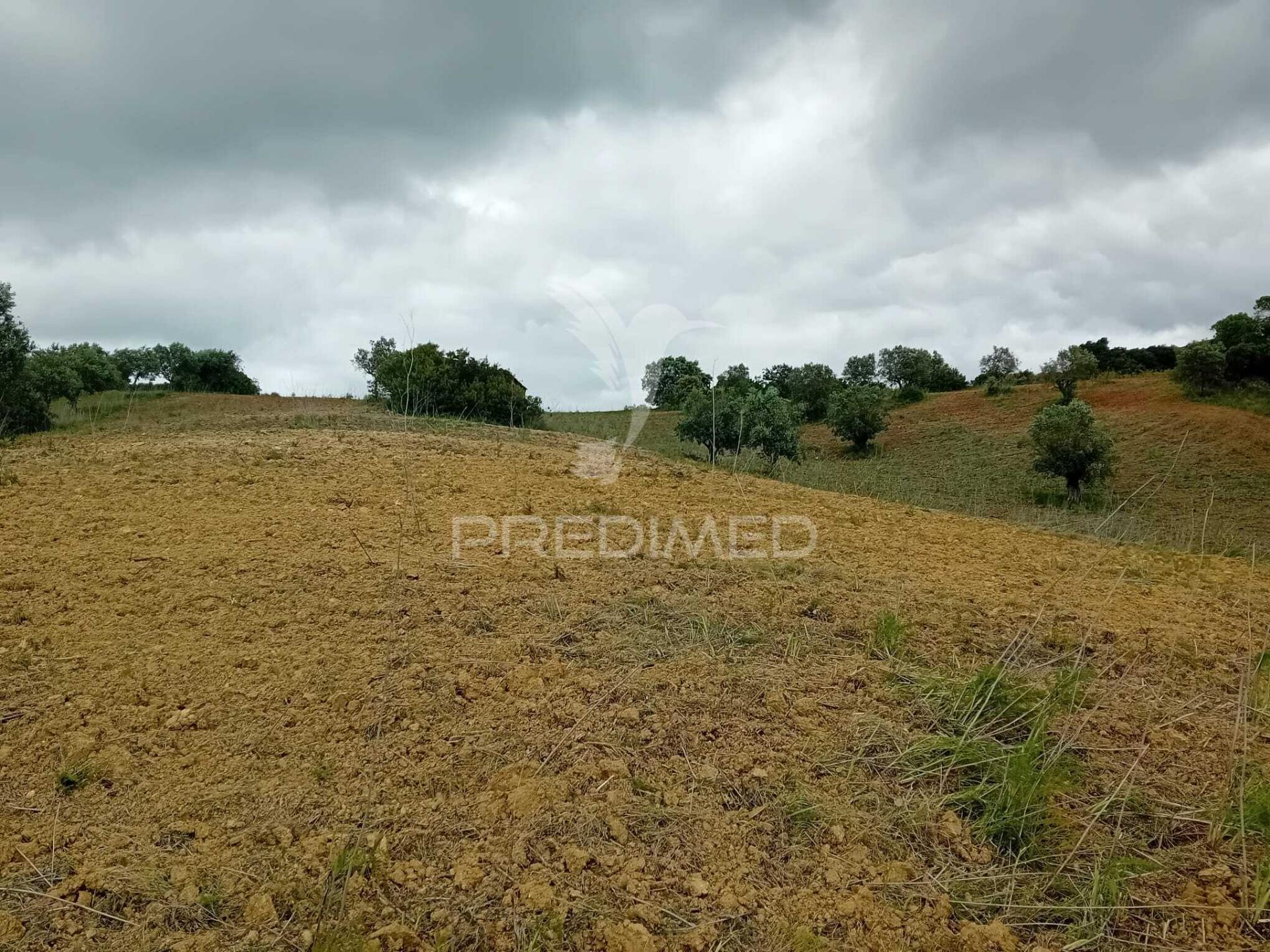 Terreno rústico pernes