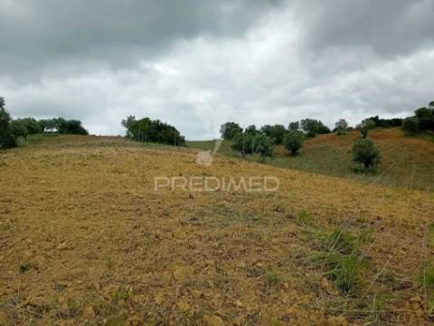 Terreno rústico pernes