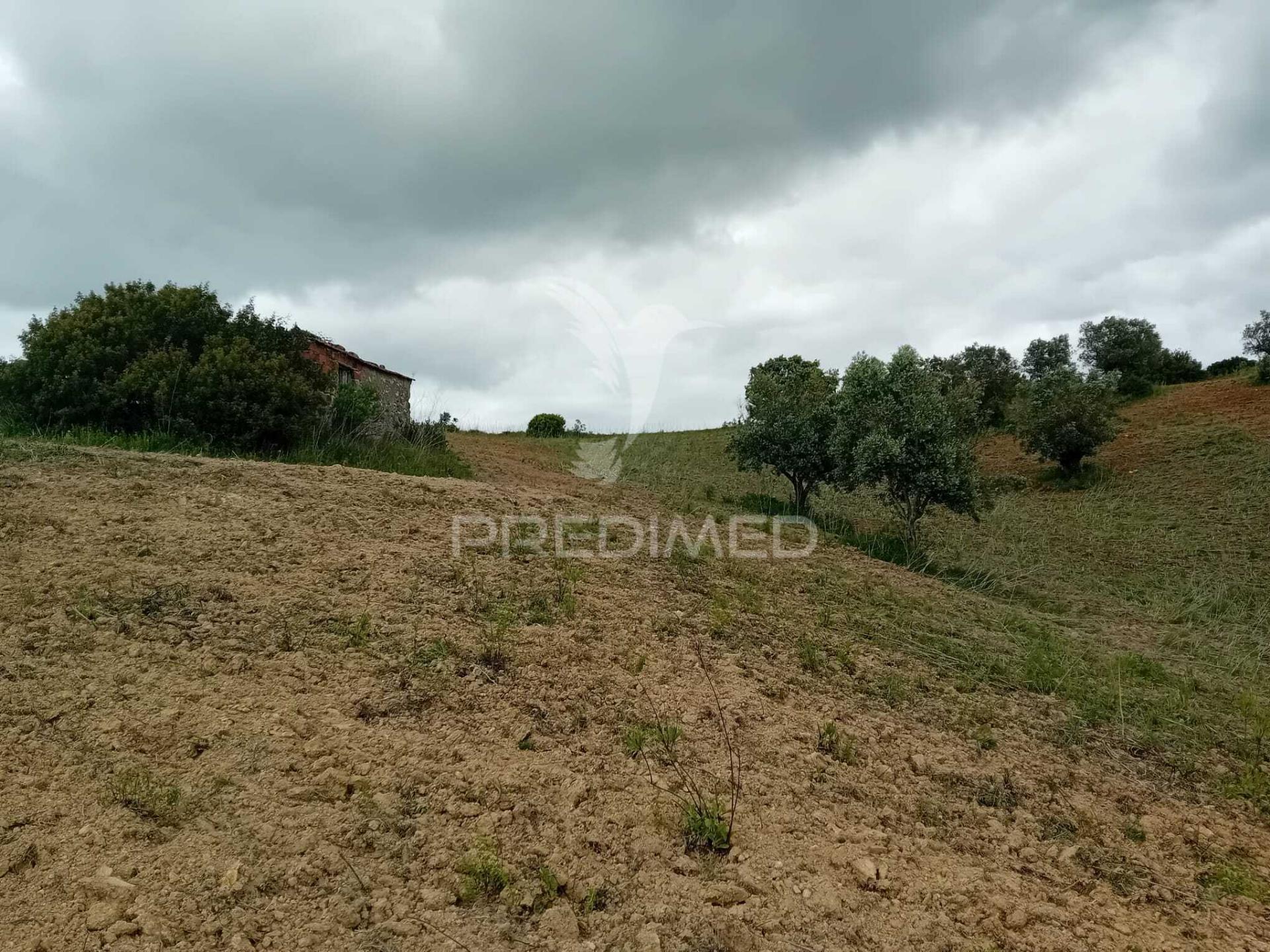 Terreno rústico pernes