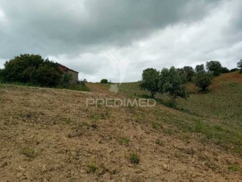 Terreno rústico pernes