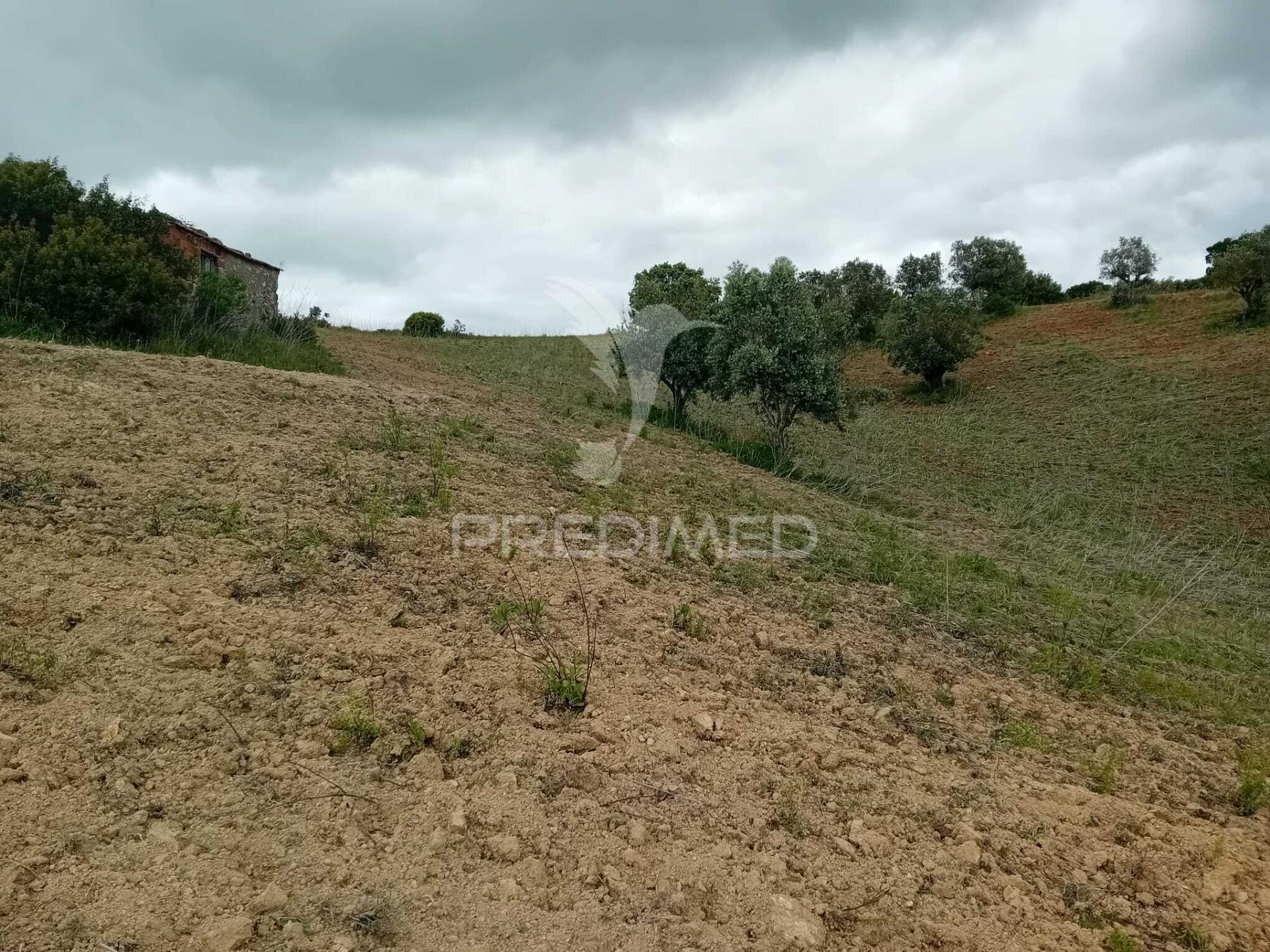 Terreno rústico pernes