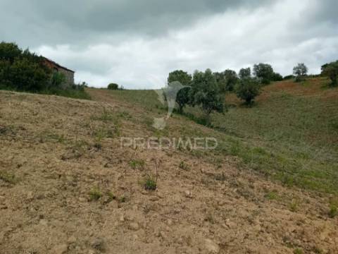 Terreno rústico pernes