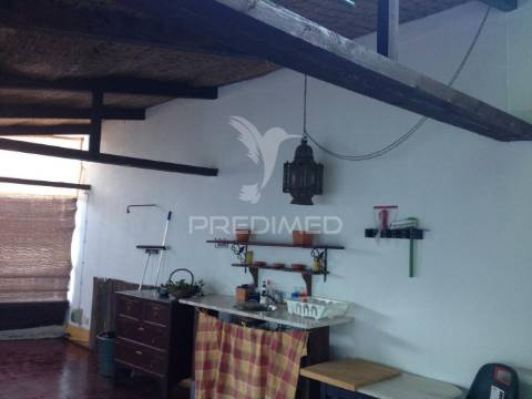 Penthouse - em open space com terraço