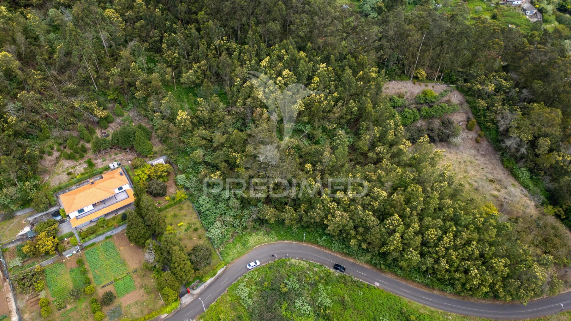 Terreno com potencial de construção em ambiente natural único – santo antónio da serra, ilha madeira