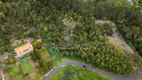 Terreno com potencial de construção em ambiente natural único – santo antónio da serra, ilha madeira