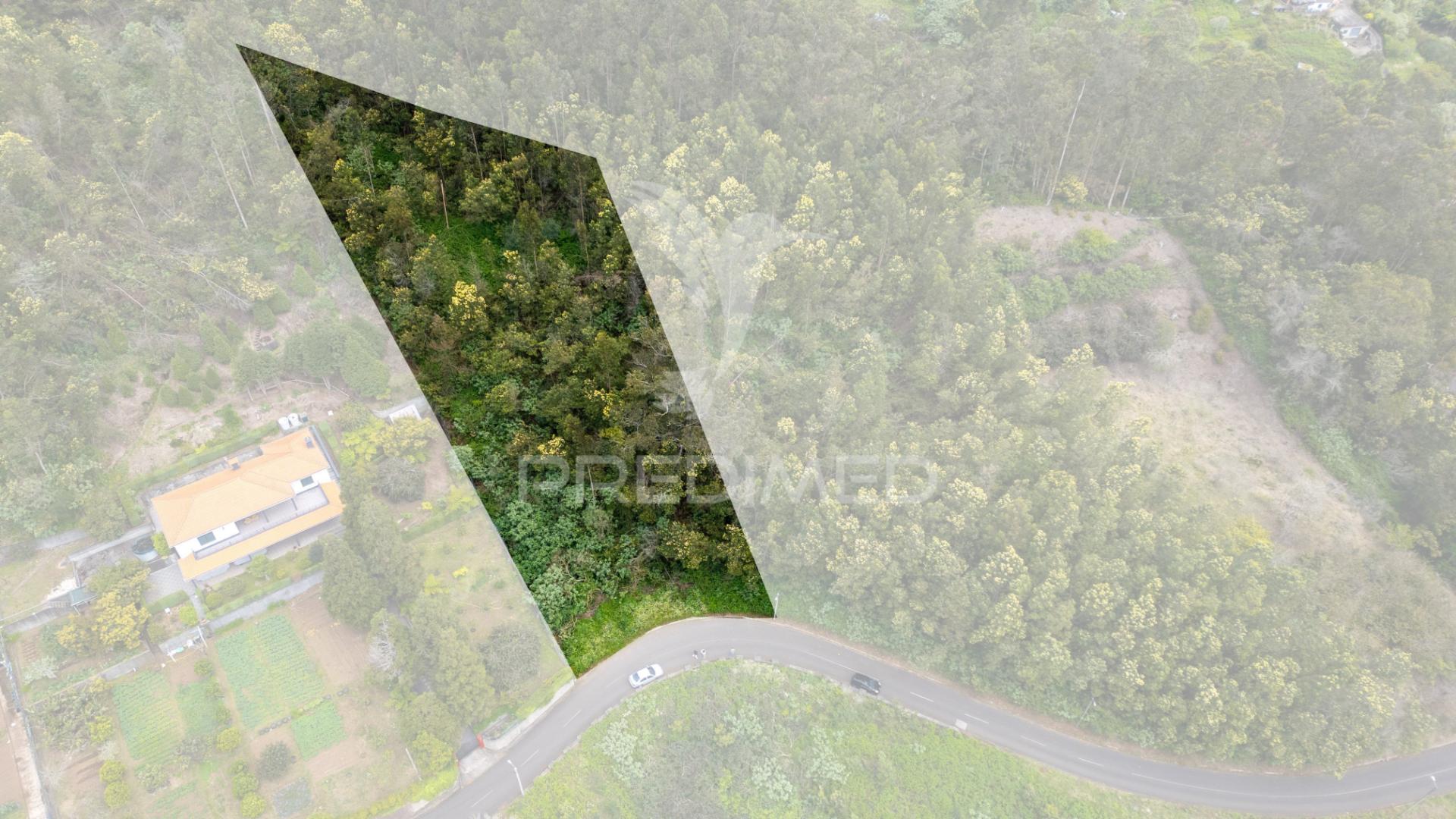 Terreno com potencial de construção em ambiente natural único – santo antónio da serra, ilha madeira