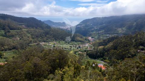 Terreno com potencial de construção em ambiente natural único – santo antónio da serra, ilha madeira