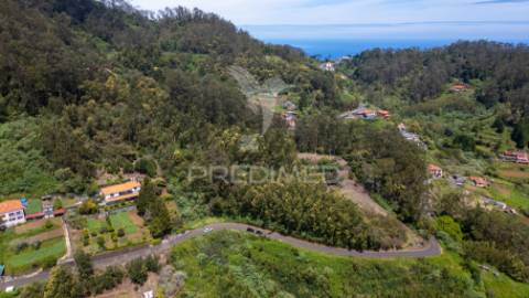 Terreno com potencial de construção em ambiente natural único – santo antónio da serra, ilha madeira