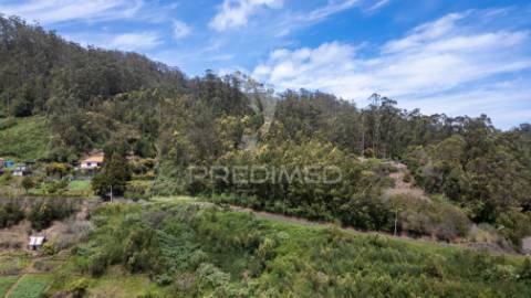Terreno com potencial de construção em ambiente natural único – santo antónio da serra, ilha madeira