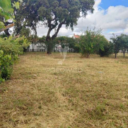 Moradia t3+2 térrea com piscina, glória do ribatejo
