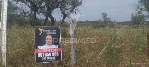 Excelente oportunidade para quem procura um refúgio no campo ou um investimento em agricultura tradicional alentejana.