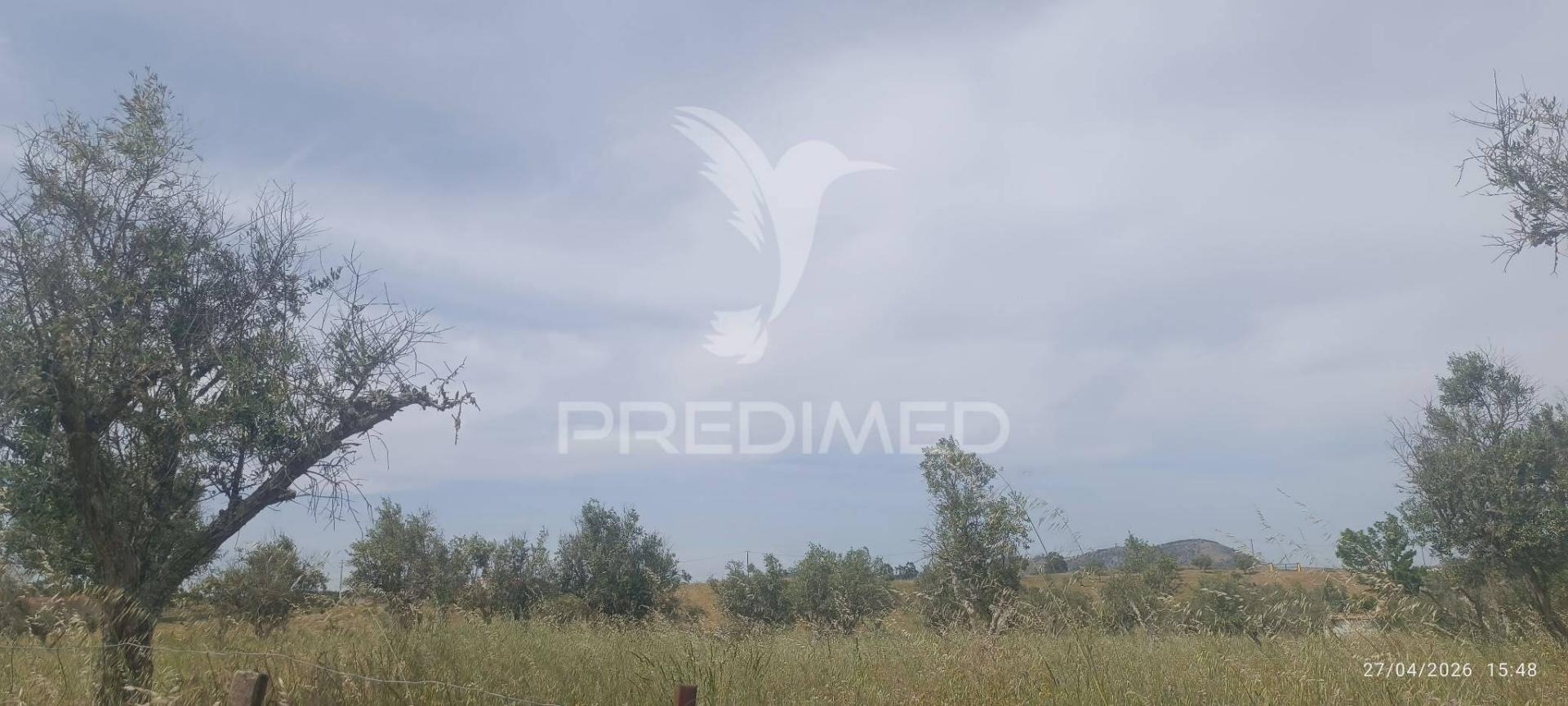 Excelente oportunidade para quem procura um refúgio no campo ou um investimento em agricultura tradicional alentejana.