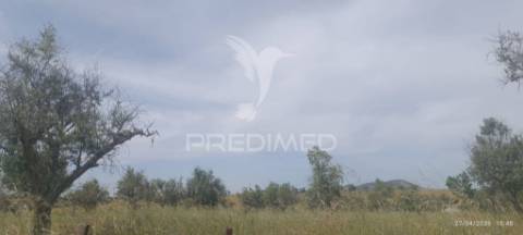 Excelente oportunidade para quem procura um refúgio no campo ou um investimento em agricultura tradicional alentejana.