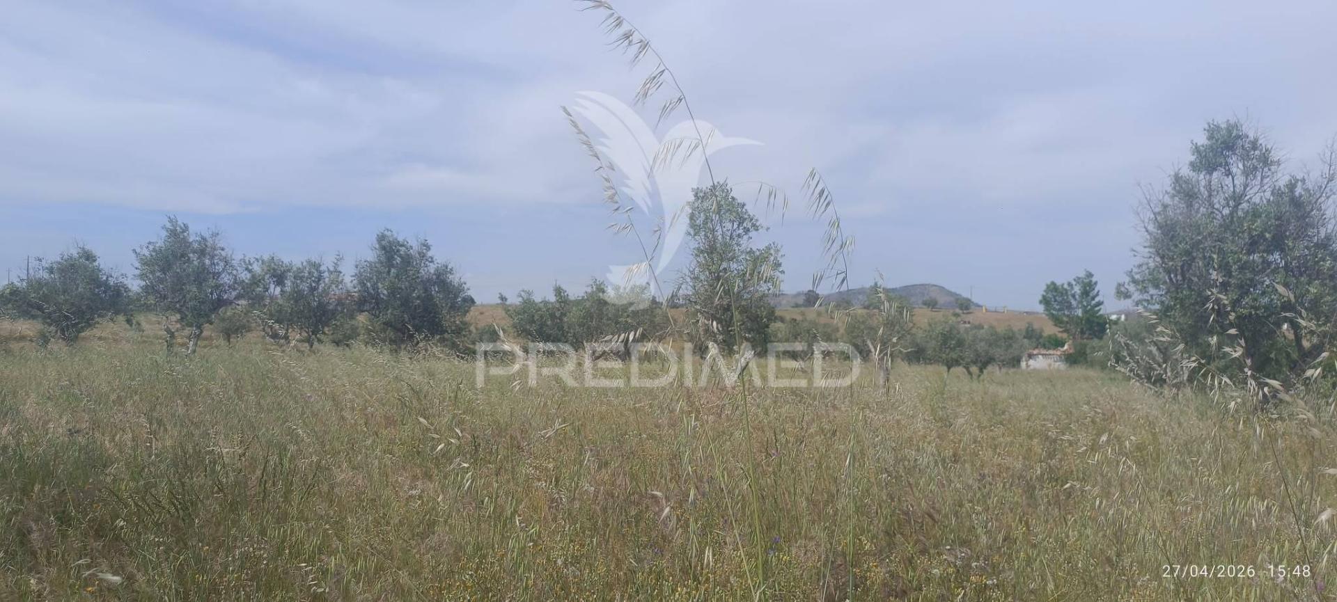 Excelente oportunidade para quem procura um refúgio no campo ou um investimento em agricultura tradicional alentejana.