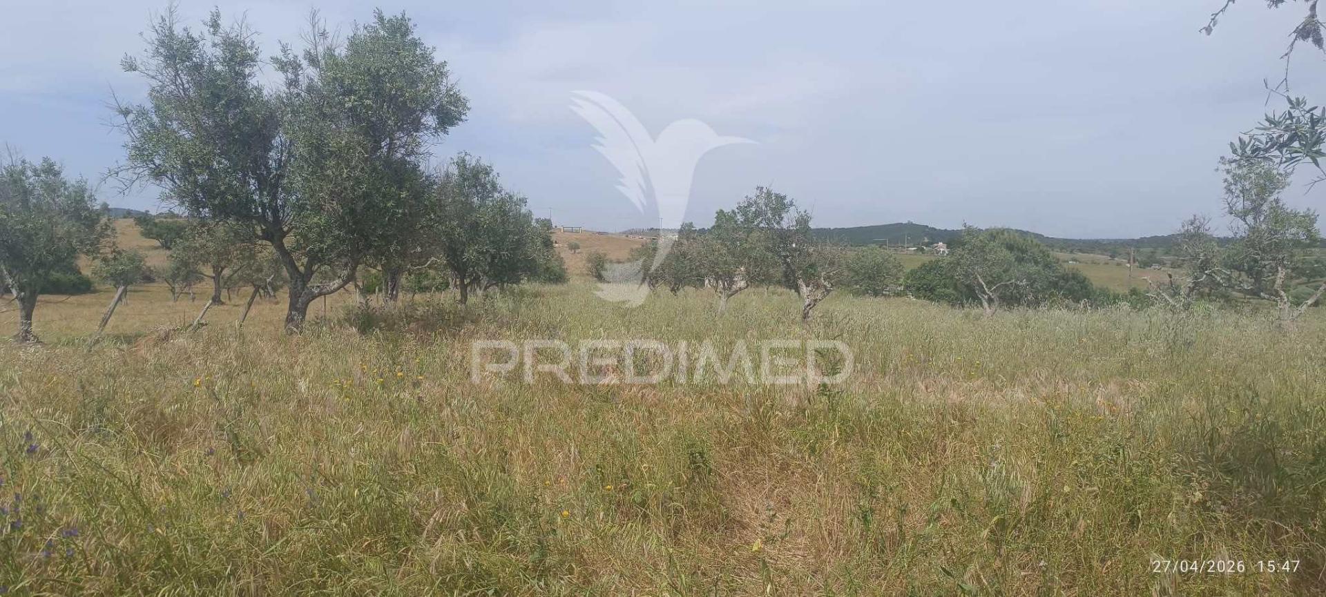 Excelente oportunidade para quem procura um refúgio no campo ou um investimento em agricultura tradicional alentejana.