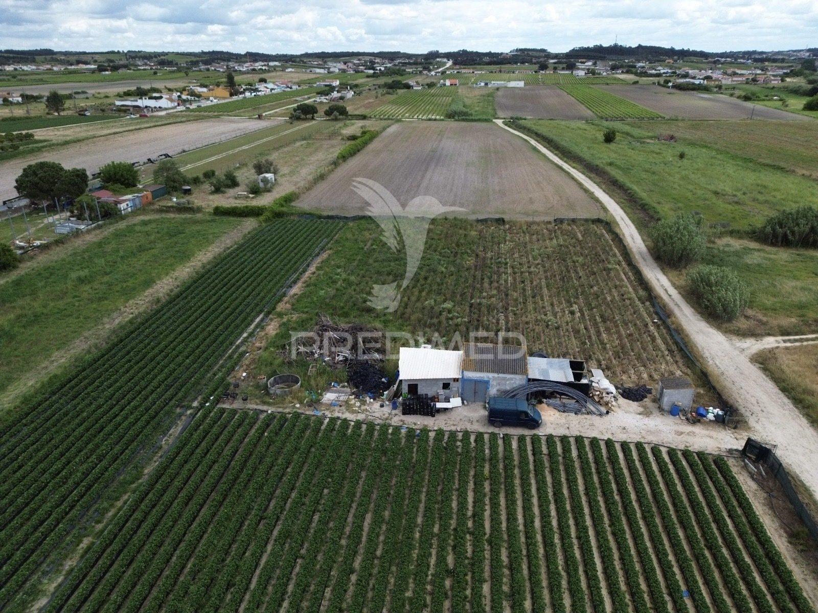 Terreno rústico com furo e poço em alpiarça – 11.040 m²