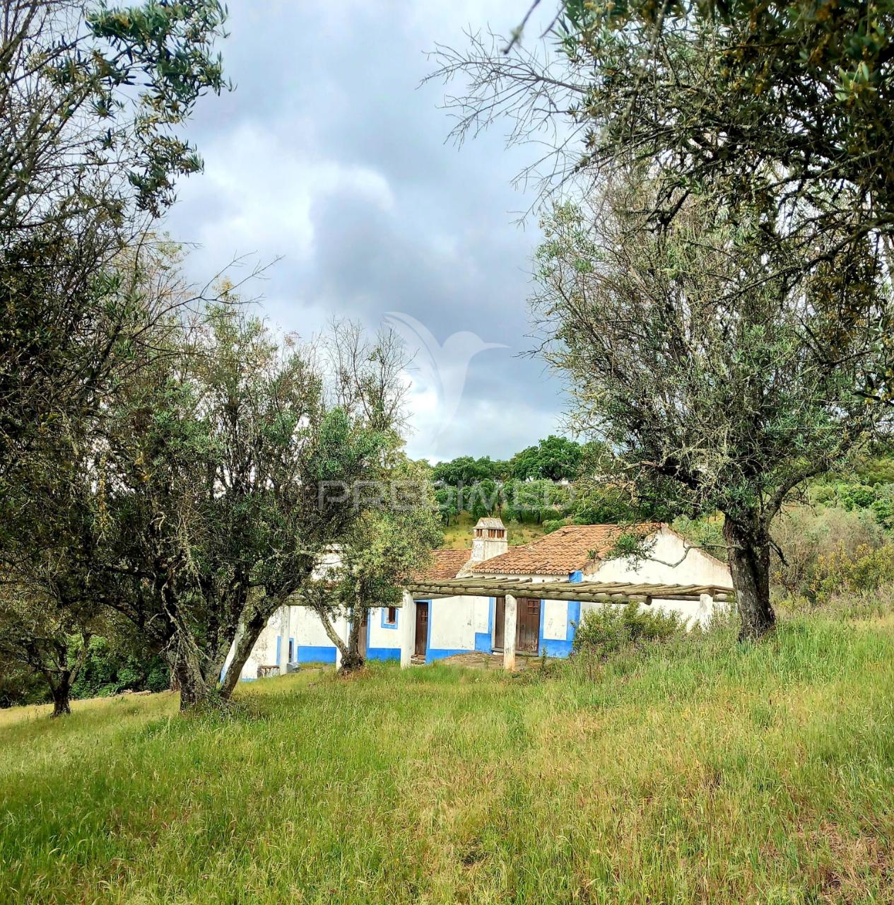 Monte alentejano