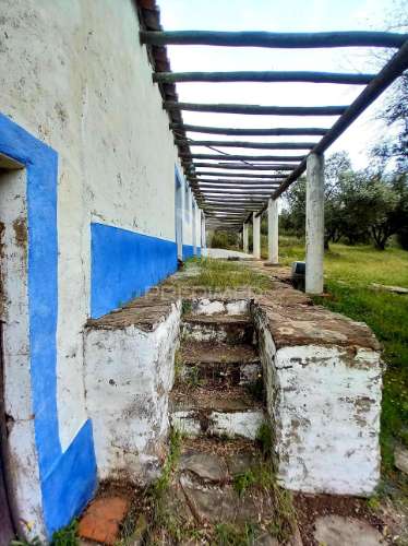 Monte alentejano