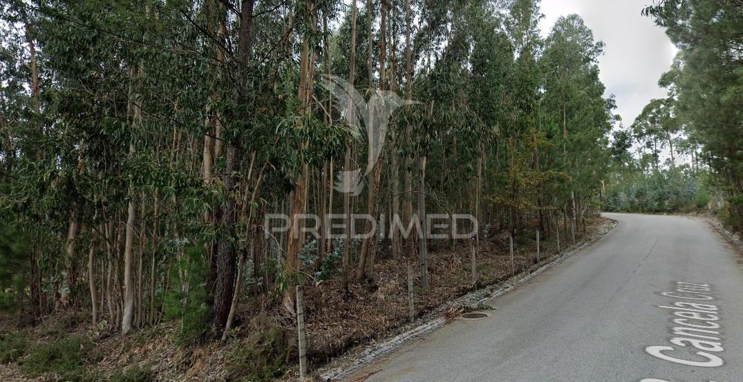 Terreno para construção sandim  – potencial para polo industrial