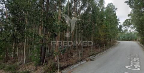 Terreno para construção sandim  – potencial para polo industrial