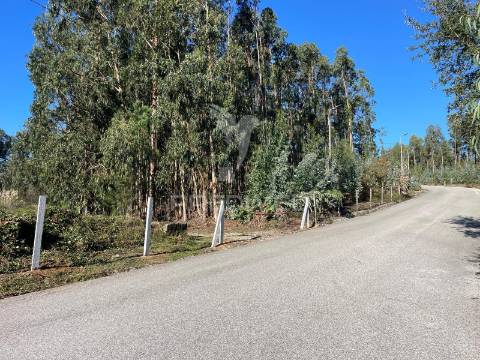 Terreno para construção sandim  – potencial para polo industrial