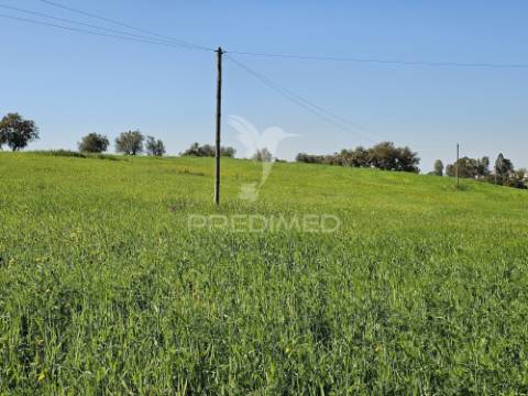 Terreno rústico com 1,88 hectares em casével, castro verde