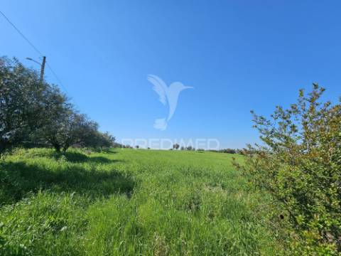 Terreno rústico com 1,88 hectares em casével, castro verde