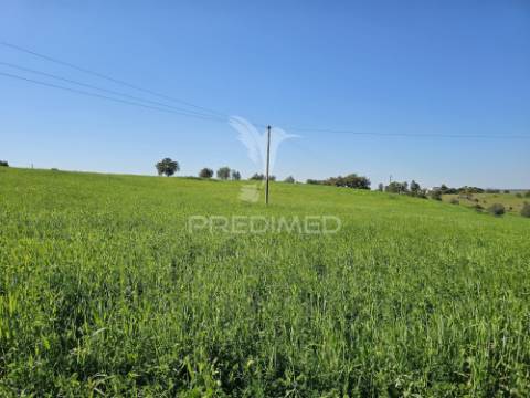 Terreno rústico com 1,88 hectares em casével, castro verde