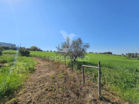 Terreno rústico com 1,88 hectares em casével, castro verde