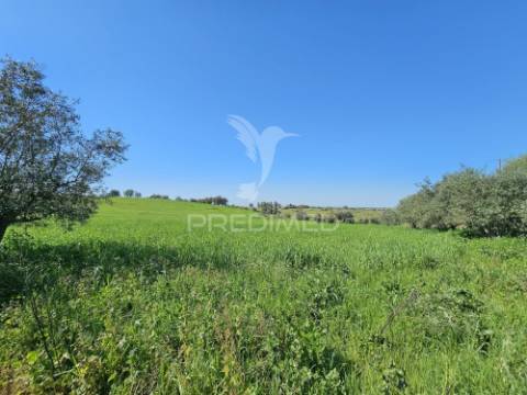 Terreno rústico com 1,88 hectares em casével, castro verde