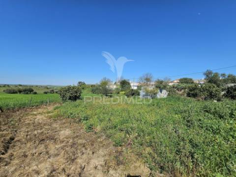 Terreno rústico com 1,88 hectares em casével, castro verde