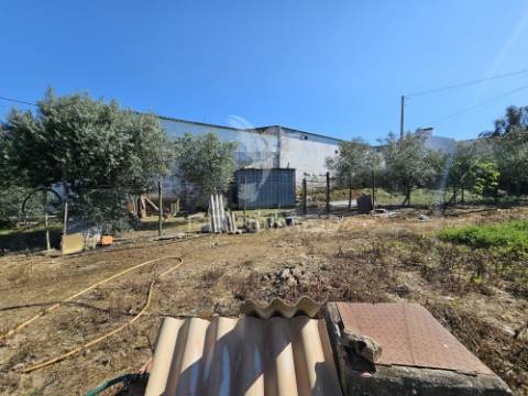 Terreno rústico com 1,88 hectares em casével, castro verde