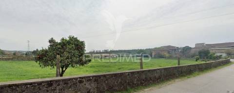 Quinta com moradia para restauro em s. mamede do coronado