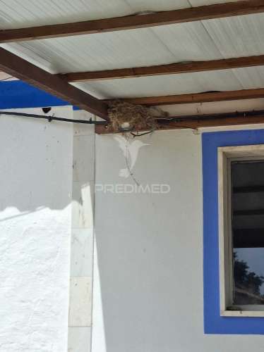 Quinta t3+1 em pardais - vila viçosa