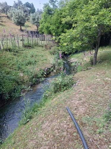 Quinta t3+1 em pardais - vila viçosa
