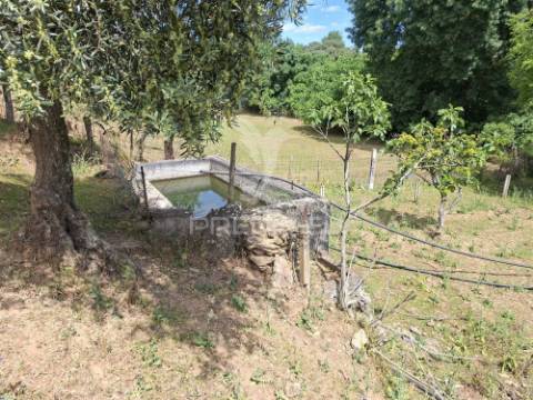 Quinta t3+1 em pardais - vila viçosa