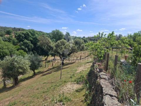 Quinta t3+1 em pardais - vila viçosa