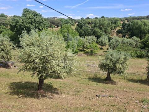 Quinta t3+1 em pardais - vila viçosa