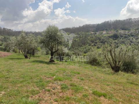 Moradia térrea t4 com piscina aquecida e vista panorâmica — a 15 minutos de pombal