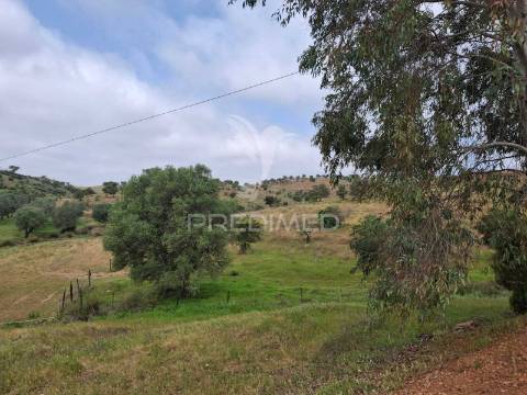 Terreno rustico - pulo do lobo -mértola