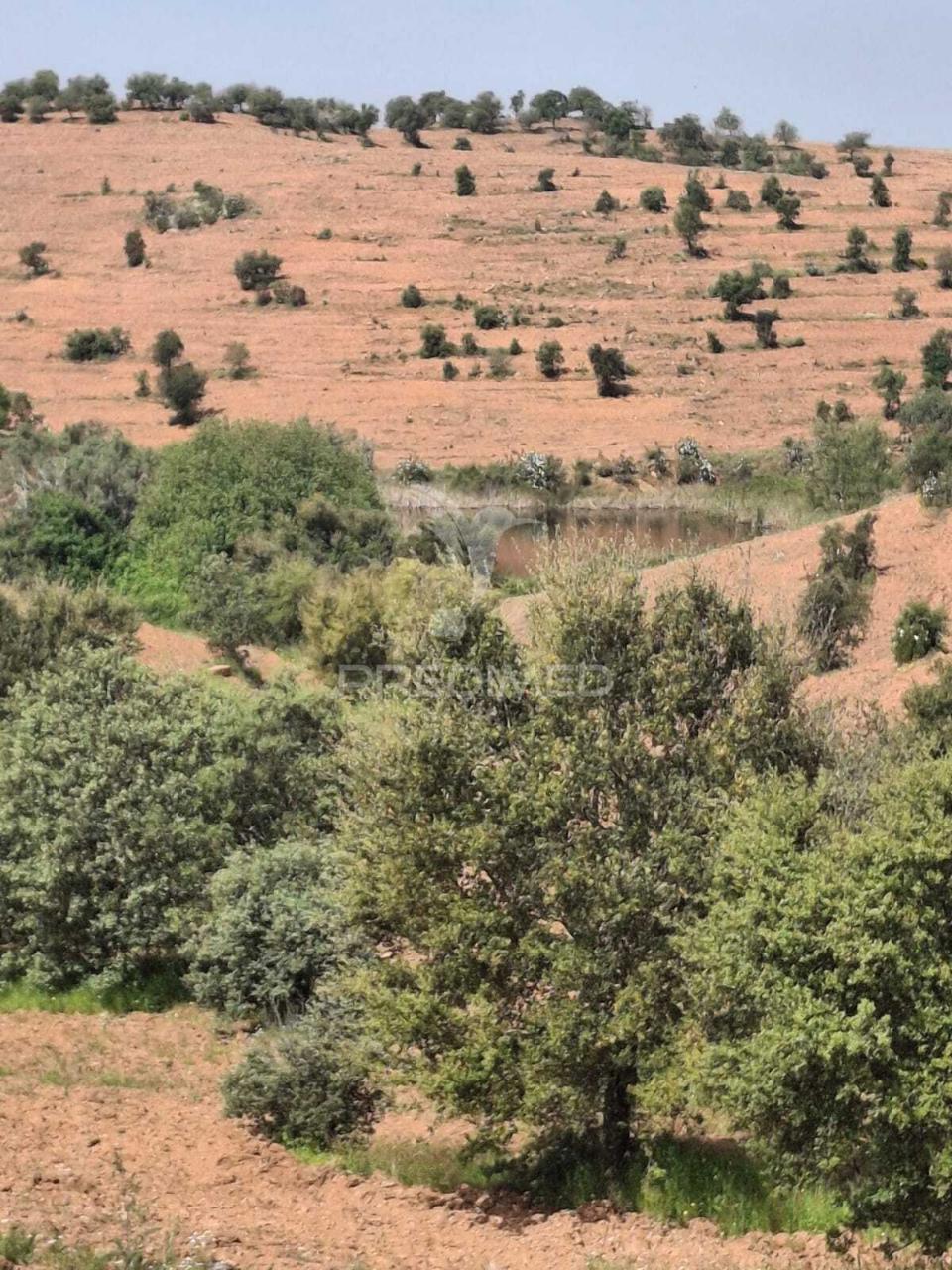 Terreno rustico - pulo do lobo -mértola