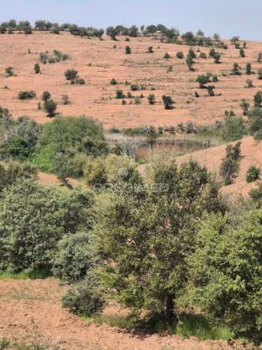 Terreno rustico - pulo do lobo -mértola