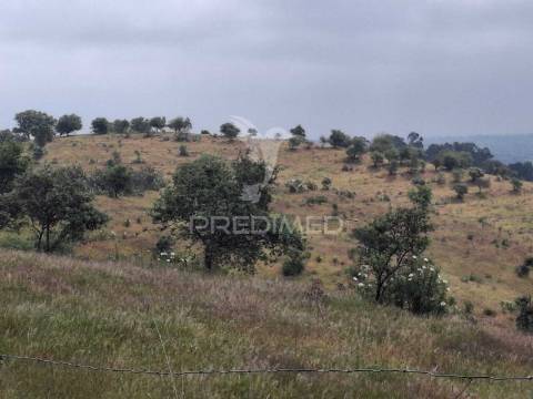 Terreno rustico - pulo do lobo -mértola