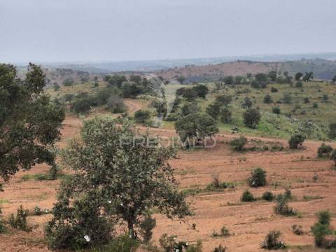 Terreno rustico - pulo do lobo -mértola