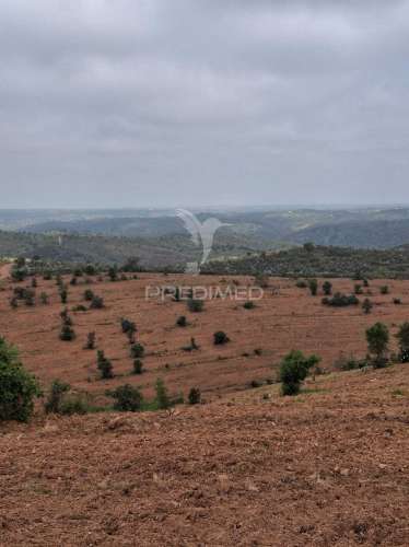 Terreno rustico - pulo do lobo -mértola