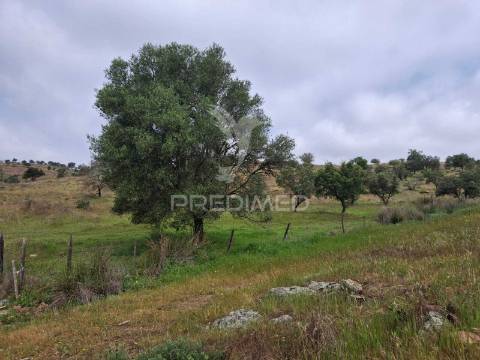 Terreno rustico - pulo do lobo -mértola